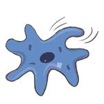 Unicellular stickers