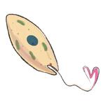 Unicellular stickers