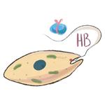 Unicellular stickers