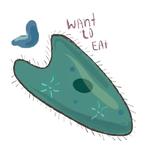 Unicellular stickers
