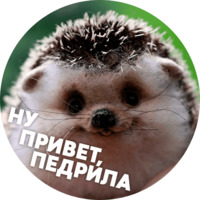  Упоротые ёжики