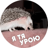  Упоротые ёжики