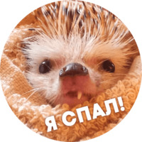  Упоротые ёжики