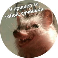  Упоротые ёжики