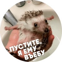  Упоротые ёжики
