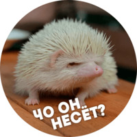  Упоротые ёжики