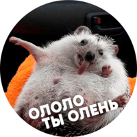  Упоротые ёжики
