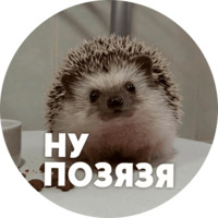  Упоротые ёжики