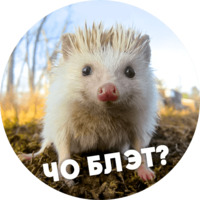  Упоротые ёжики