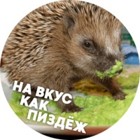  Упоротые ёжики