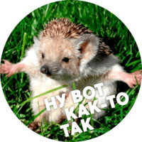  Упоротые ёжики