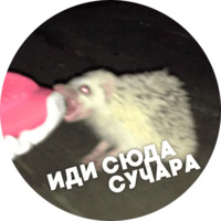  Упоротые ёжики