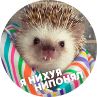  Упоротые ёжики