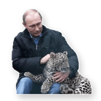 США/Россия