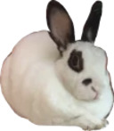 Ushati