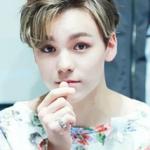 hansol vernon chwe
