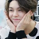 hansol vernon chwe