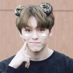 hansol vernon chwe