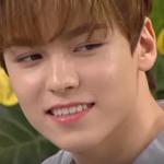 hansol vernon chwe