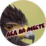 Злые Птицы  - part 1