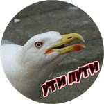 Злые Птицы  - part 1