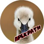 Злые Птицы  - part 1