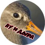 Злые Птицы  - part 1