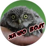 Злые Птицы  - part 1