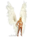 Victoria's Angels