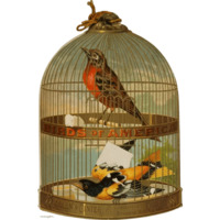 Винтажные открытки