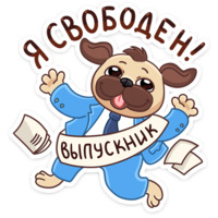 Выпускной 2018
