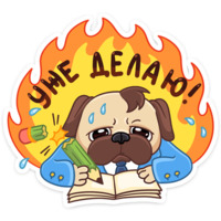 Выпускной 2018