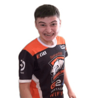 Virtus pro