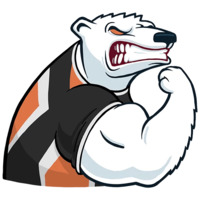 Virtus pro
