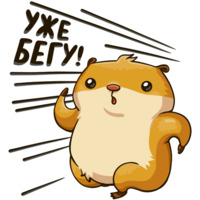Хомяк Сеня