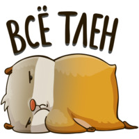 Хомяк Сеня
