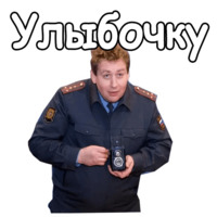 Воронины