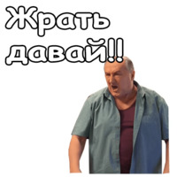Воронины