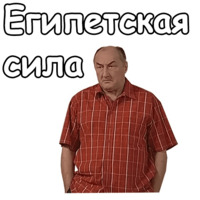 Воронины