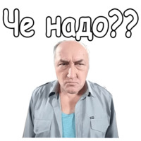 Воронины