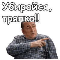 Воронины