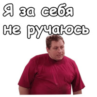 Воронины