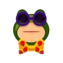 FROG VSEOK