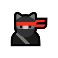 W10 Ninja-Cat