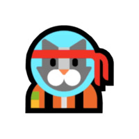 W10 Ninja-Cat