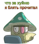 w3bs