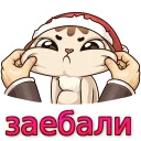 w3bs