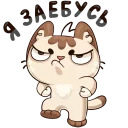 w3bs