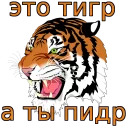 w3bs