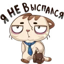 w3bs